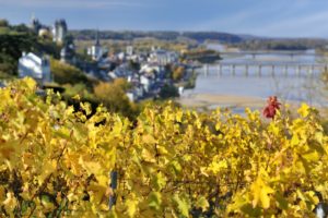 Alfred Gratien Champagne, raisins et cépages historiques