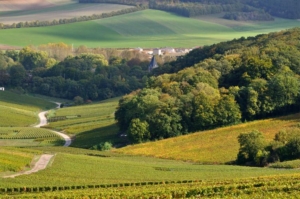 Avenay (código postal 51160)