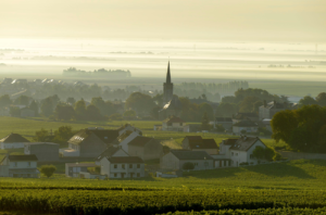 Côte des Blancs