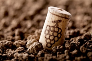 Champagne cork