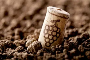 Champagne cork