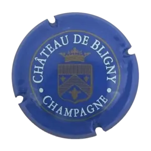 Chateau de Bligny Champagne Champagnerdeckel, Capsules, Muselets oder Plaque, Champagnerkapsel